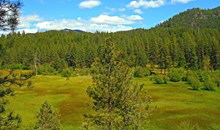 Deschutes and Ochoco National Forests