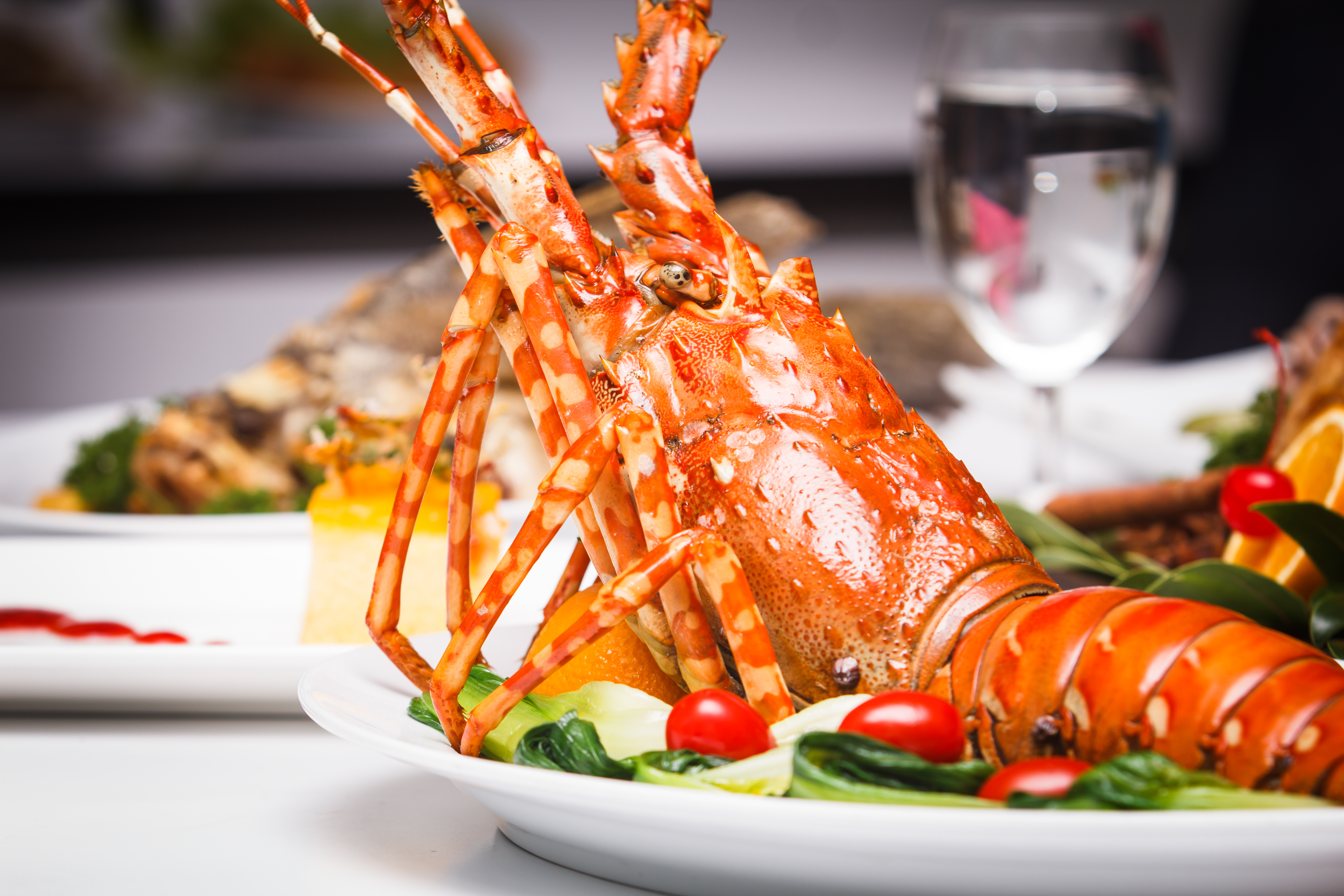 a luxury dish of lobster