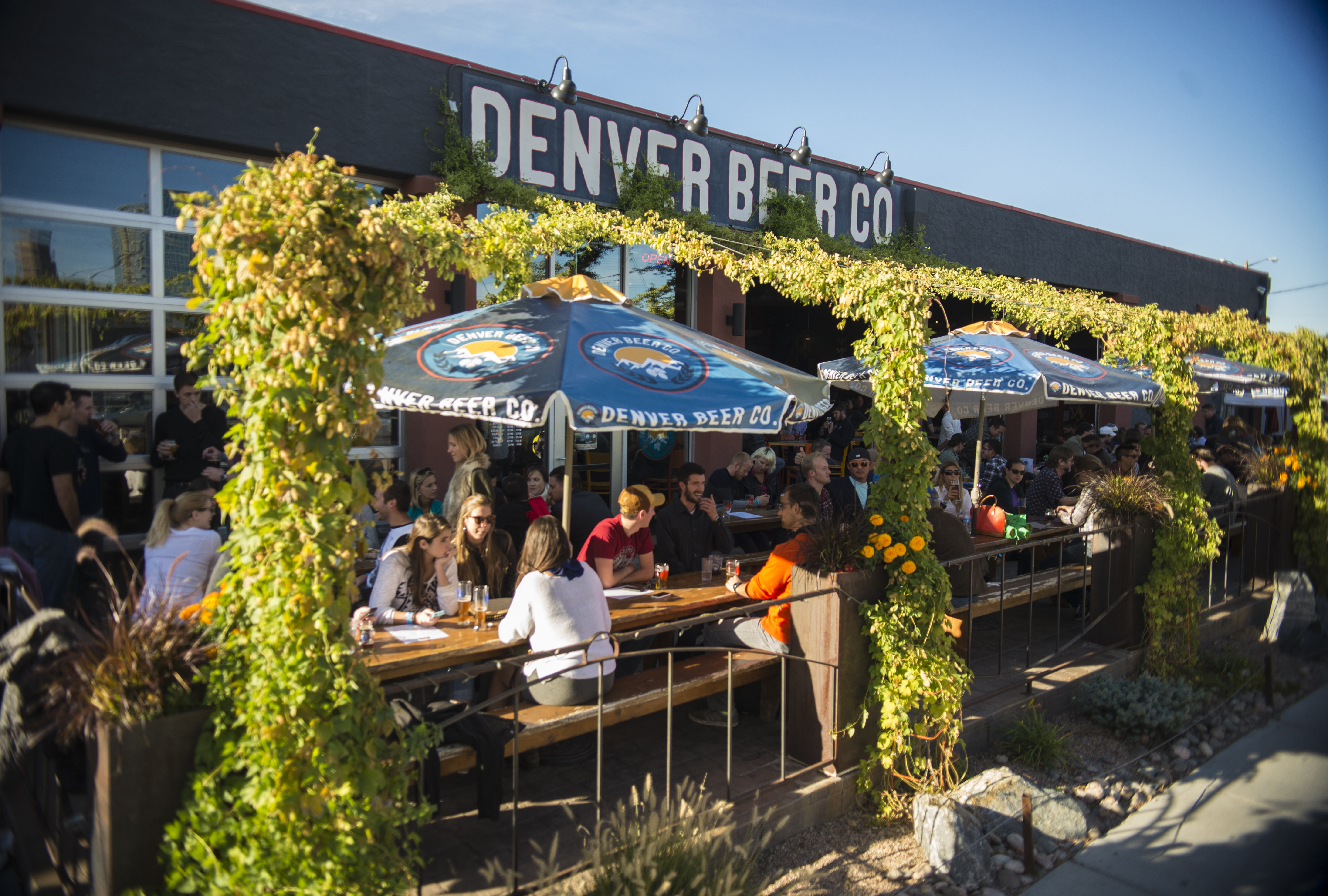 Denver Beer Company