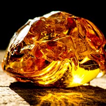 Amber Museum-Gallery
