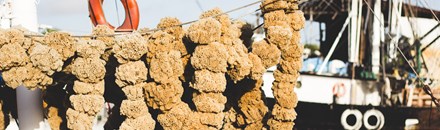 Tarpon Springs Sponge Docks