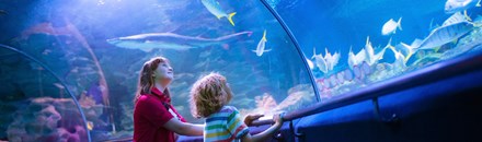 Marine World