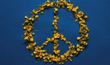Osaka International Peace Center