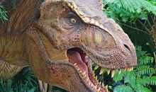 Musée Parc des Dinosaures
