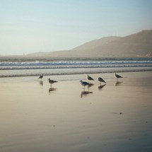 Best Time to Visit Agadir