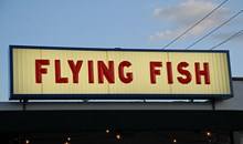 The Flying Fish