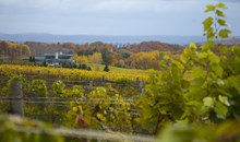 Grand Traverse Tours