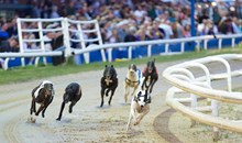 Belle Vue Greyhound Stadium