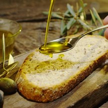 Seville Olive Oil Workshops