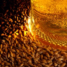 Coopers Brewery Tour