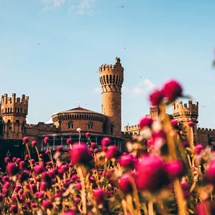 Best Time to Visit