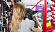 Pet Place Plus