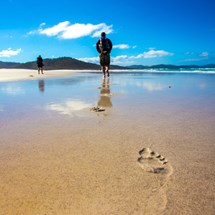 The Freycinet Experience Walk