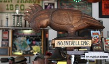 Green Parrot Bar