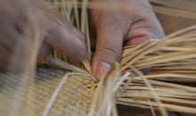 Tjanpi Desert Weavers
