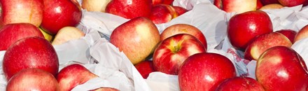 Mill City Farmers Market