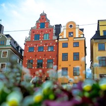 Stockholm Must-Sees Tour