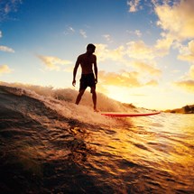 Surfing & Windsurfing