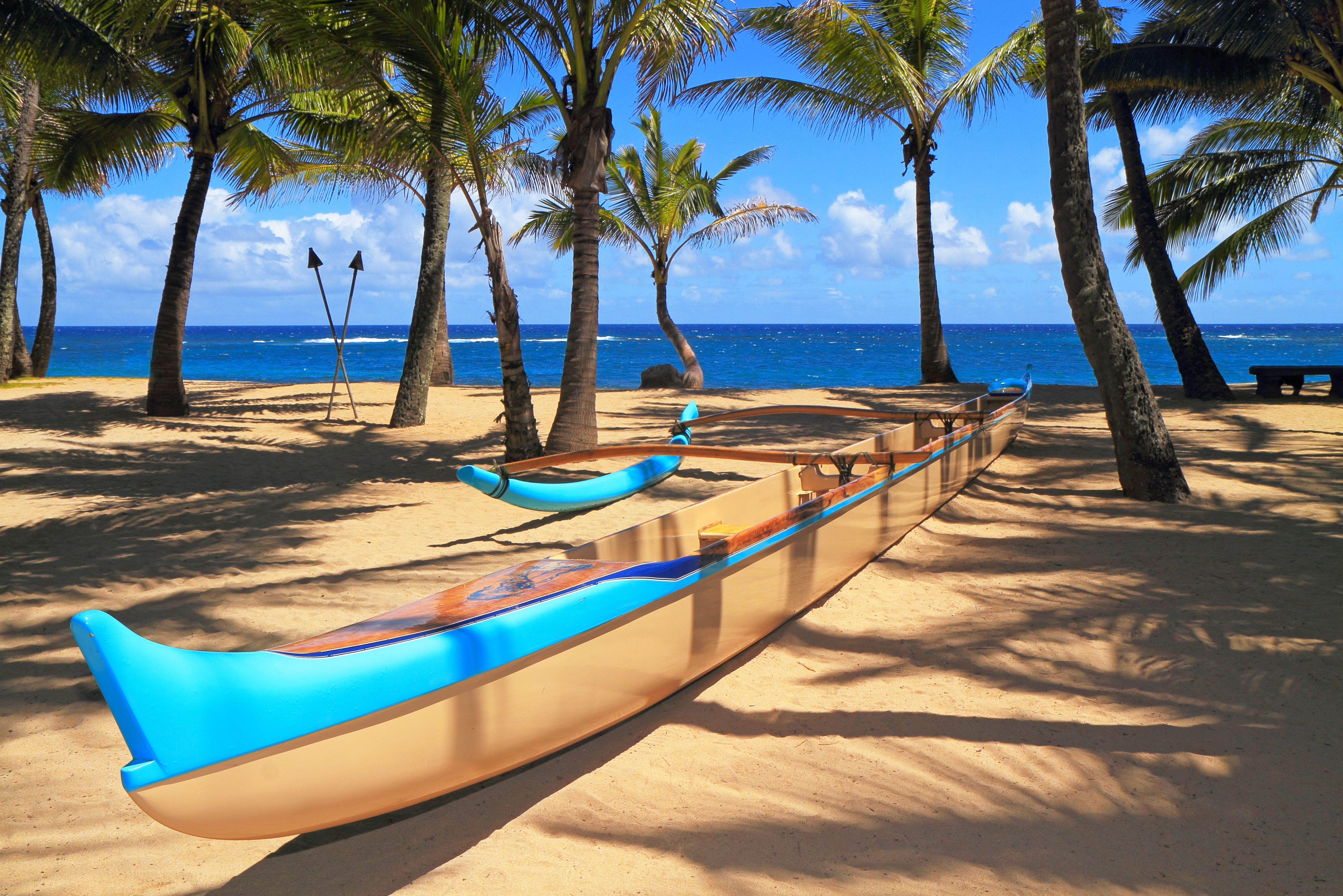 Palms and a canoe