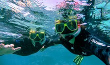 Downbelow Marine & Wildlife Adventures