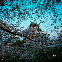 Best Time to Visit