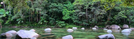 Mossman Gorge