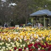 Floriade — Australia’s biggest celebration of spring