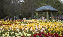 Floriade — Australia’s biggest celebration of spring