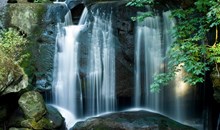 Whatcom Falls Park