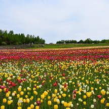 Takino Suzuran Hillside National Government Park