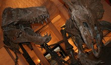 Natural History Museum of Los Angeles County