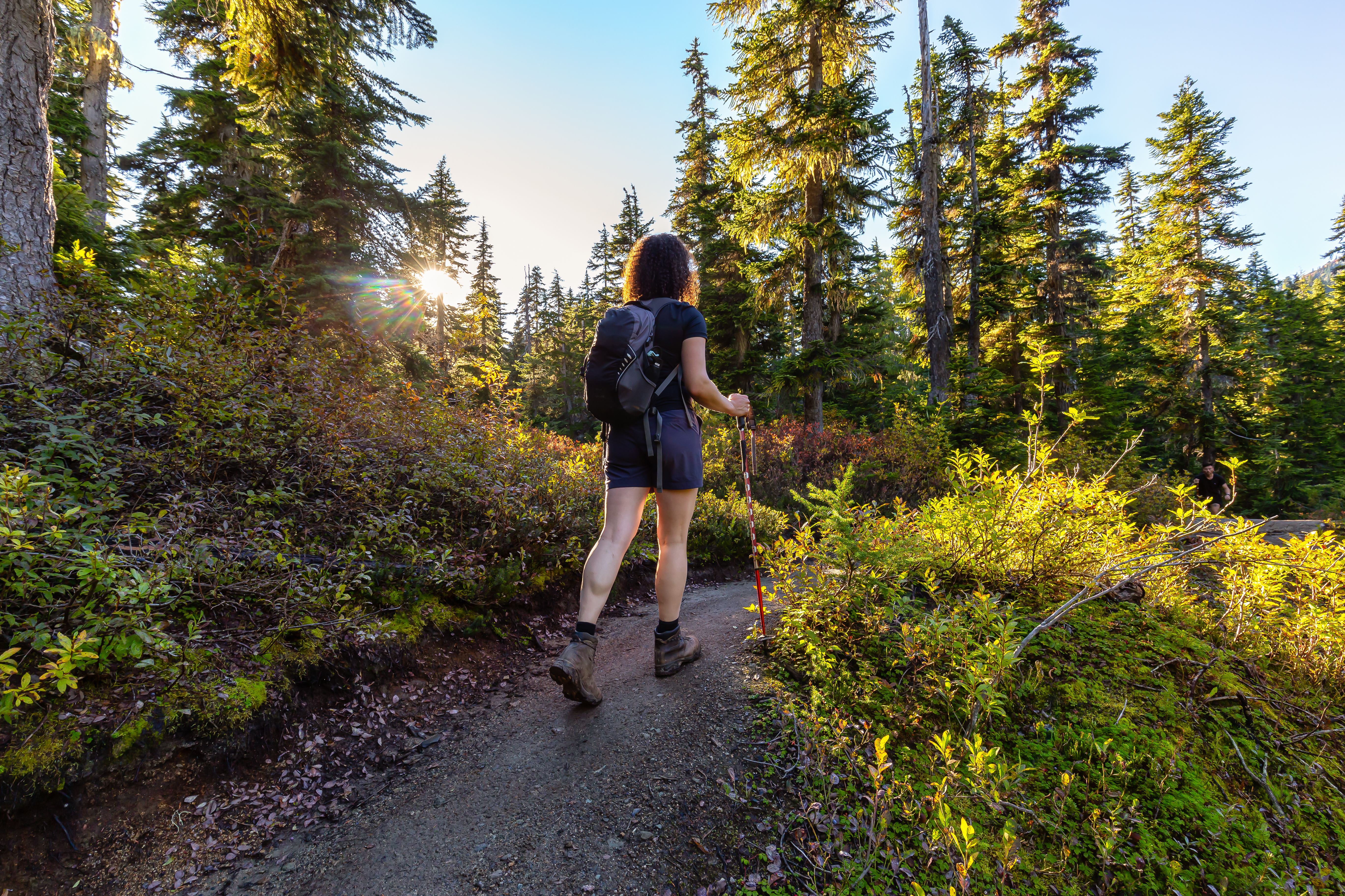 Girl Hiking along Scenic Trail on a Fall Evening in Canadian Nature. Taken in Whistler