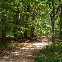 Historical - Educational Trail Kamenjak