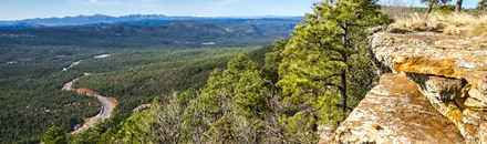 Mogollon Rim