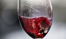 Wine Tours