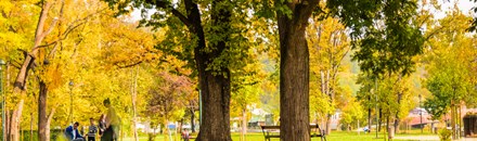 Roma Street Parkland