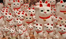 Tanukikoji Shopping Arcade