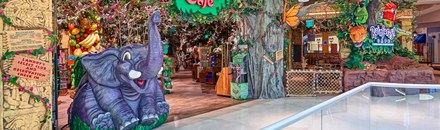 Rainforest Café
