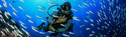 Scuba Diving and Snorkelling Tour