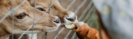 ZooTampa at Lowry Park