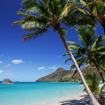 Catseye Beach