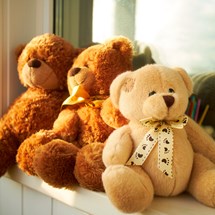 The Teddy Bear Shop