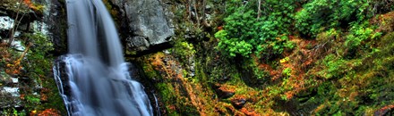 Bushkill Falls