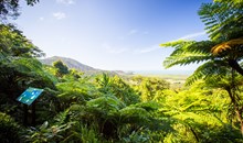 Treetops Adventure in Cape Tribulation