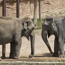 Terra Natura
