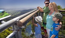 Illawarra Fly Treetop Adventures