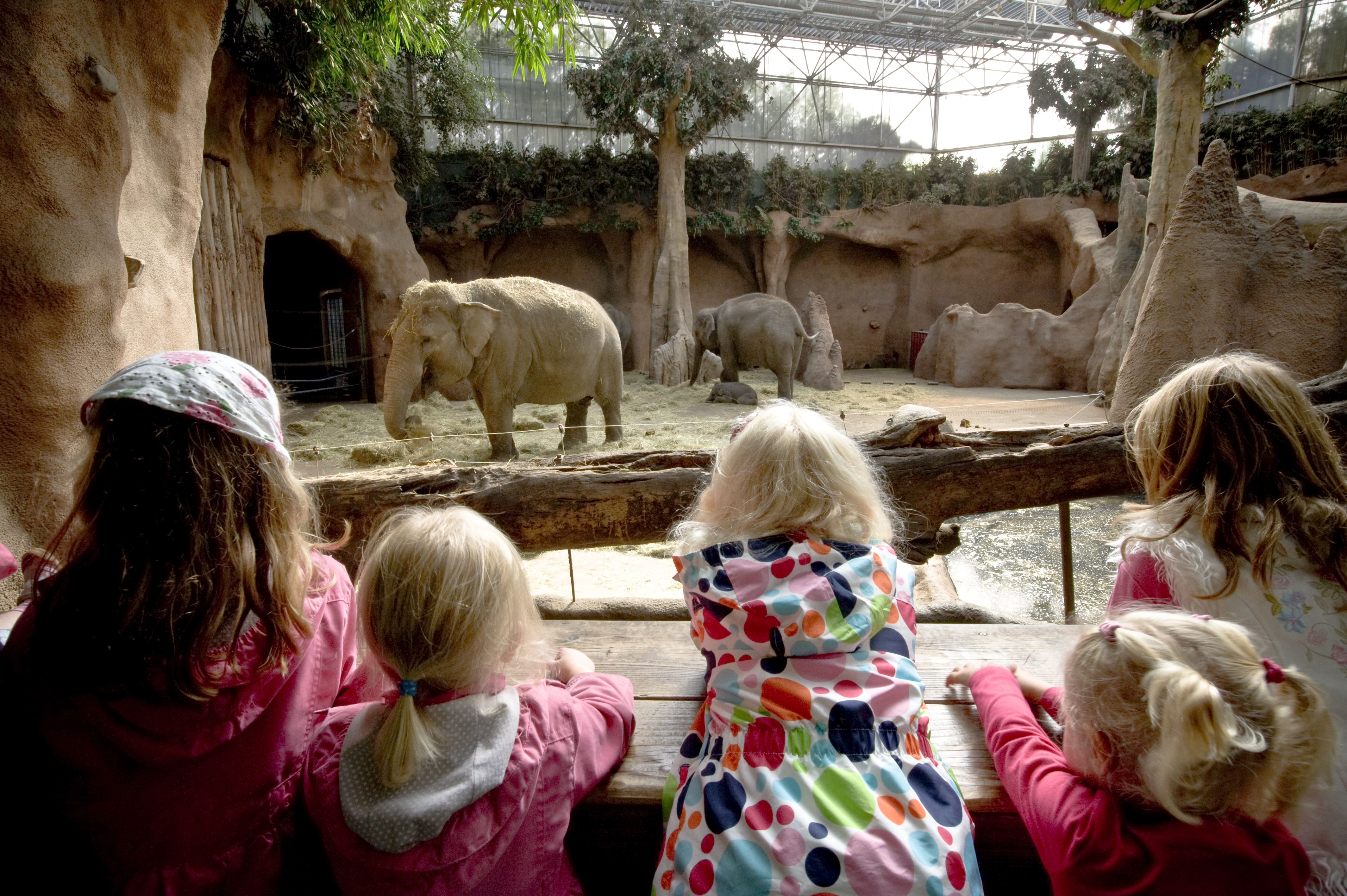 Rotterdam Zoo