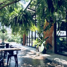 Café Botanica