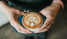 Cult Coffee Roasters
