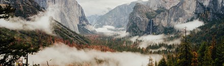 Yosemite & Giant Sequoias Day Trip from San Francisco